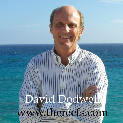 David-Dodwell-1